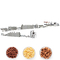 एबीबी श्नाइडर नाश्ता अनाज उत्पादन लाइन 150 किग्रा / एच फ्लेक्स बनाने की मशीन